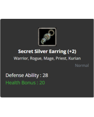 +2 Secret Silver Earring