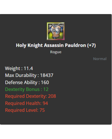 Holy Knight Assassine Full Set +7