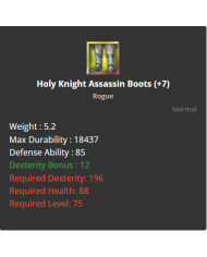 Holy Knight Assassine Full Set +7